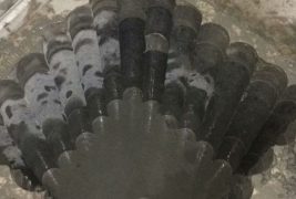 karot (14) karot (14)